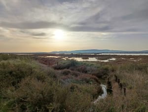 Les Salines de Villeneuve depuis Les Clauzels - Villeneuve-lès-Maguelone - 24