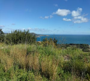 Les hauteurs de Banyuls et retour par la côte - Banyuls-sur-Mer - 6