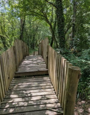 Boucle de la Vallée de la Conne de Labardee - Conne-de-Labarde - 6