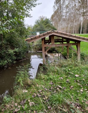 Boucle de la Bassanne et flânerie le long de la rivière - Savignac - 5