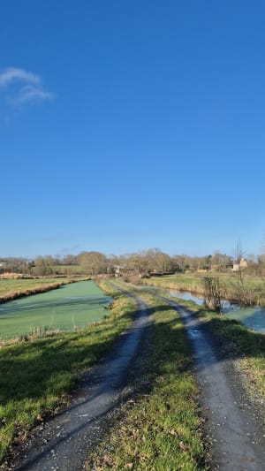 Bavent entre forêt et Marais de Bavent - Bavent - 35