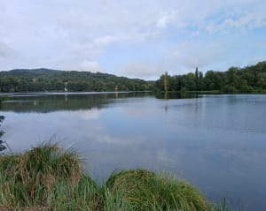 Lac de Grolejac - Groléjac - 8