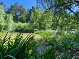 Balade au Lac des Meinettes - Saint-Jeure-d'Ay - 6