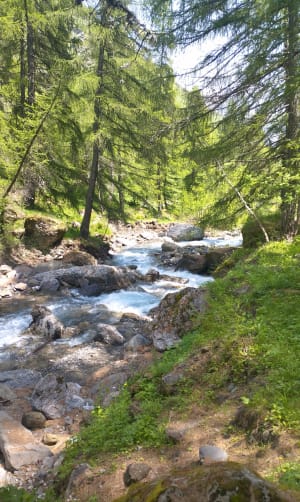 Cascade de la Pisse et tour de Planure, par le refuge du Tourond - Champoléon - 9