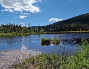 Rando du lac de Longemer au lac Listach - Xonrupt-Longemer - 52
