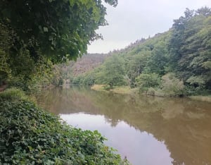 Balade à Sauret Bessevre et ses environs - Sauret-Besserve - 12