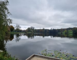 Moment doux autour du lac des Dronières - Cruseilles - 5