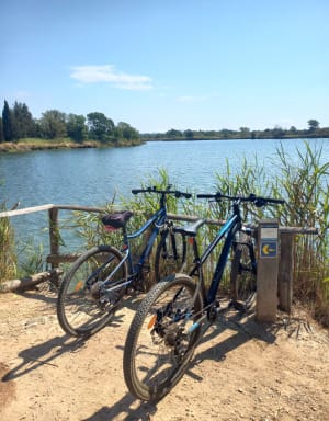 Rondleiding langs de vijvers van Villepey door VTC - Fréjus - 2