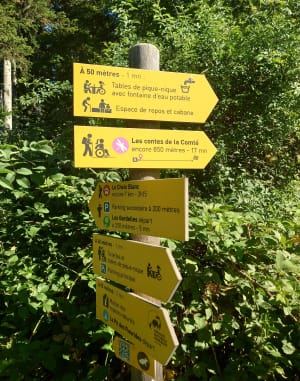 Forêt de la Comté - Sallèdes - 3