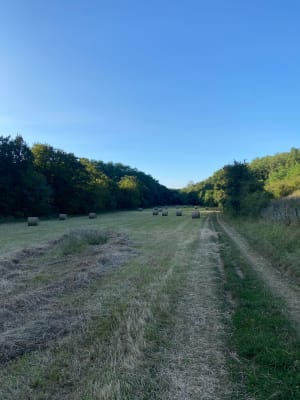 Tour idyllique de Graves-sur-Anse et évasion dans la nature - Anse - 11