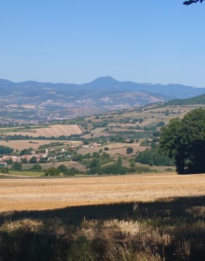 Forêt de la Comté - Sallèdes - 5