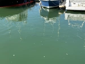 Marche le long de la Dives - Dives-sur-Mer - 5