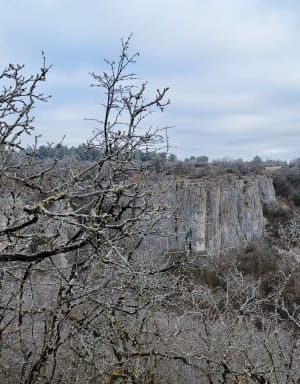 Les hauts de la Combe de Fixey et Combe Laveau - Brochon - 17