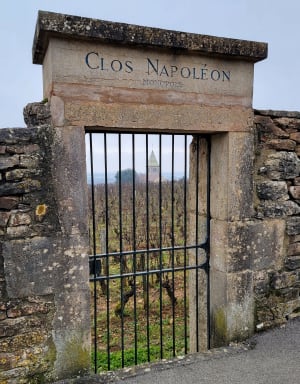 Les hauts de la Combe de Fixey et Combe Laveau - Brochon - 21