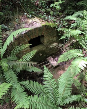 Fontaines de Moncaup et sortie cool dans le Vic-Bilh - Eric - 6