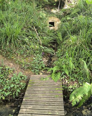 Fontaines de Moncaup et sortie cool dans le Vic-Bilh - Eric - 7