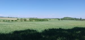 Saint Christophe - Les Grandes Chaumes - Saint-Christophe - 2