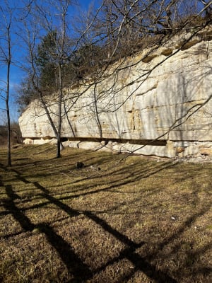 Forêt de L'Isle-Adam - L'Isle-Adam - 10