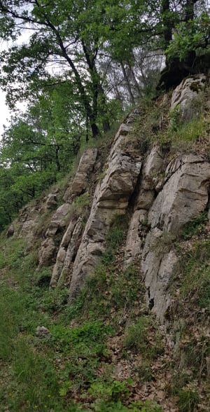 Sur les bords de l'Ouvèze - Mollans-sur-Ouvèze - 5