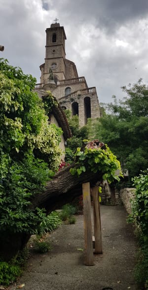 Sur les bords de l'Ouvèze - Mollans-sur-Ouvèze - 7