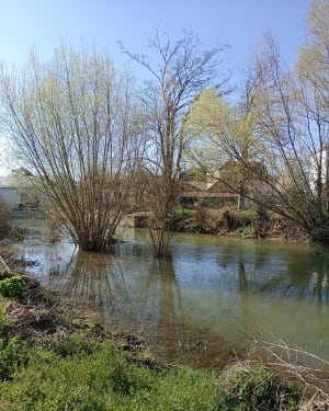 Prachtige lus in Savigny-en-Septaine - Savigny-en-Septaine - 8