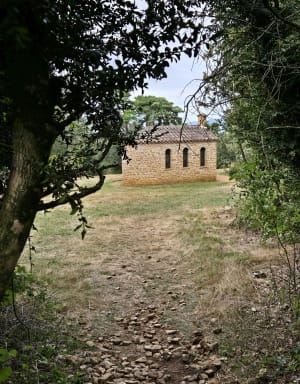 Sentier des crêtes - Ville-sur-Jarnioux - 15