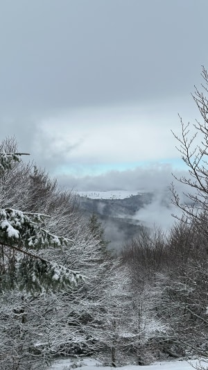 Tour depuis le parking du Grand Ballon vers le Judenhut - Hervé - 2