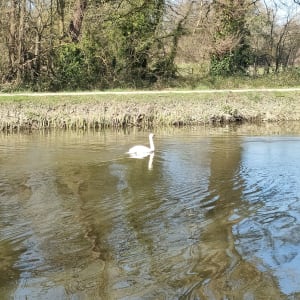 Moulin de Champcors au bois de Cicé à Bruz - Chavagne - 26