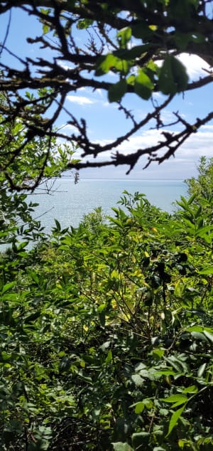 Promenade dans la vallée du Lude - Carolles - 69