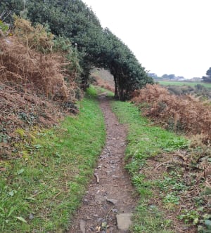 Boucle de Sainte Barbe - Plestin-les-Grèves - 39