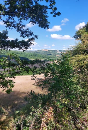 De Charmes-sur-l'Herbasse au Bois de Bard - Charmes-sur-l'Herbasse - 5