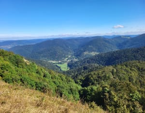 Ballon d'Alsace-lus via het uitzichtpunt van Birkel - Lepuix - 14