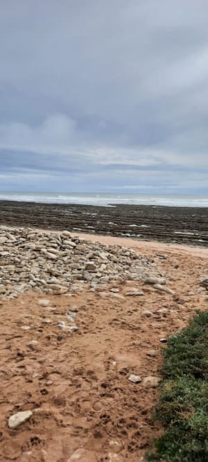De la Ragounite à la pointe du Payré. - Jard-sur-Mer - 31