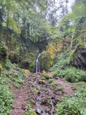 Sur les hauteurs de Lutzelhouse - Urmatt - 6