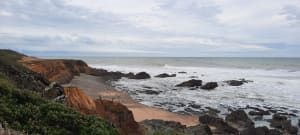 De la Ragounite à la pointe du Payré. - Jard-sur-Mer - 33