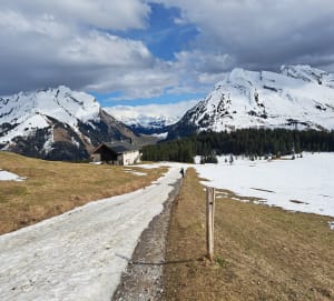 Winterafdaling van Beauregard naar La Clusaz - La Clusaz - 3