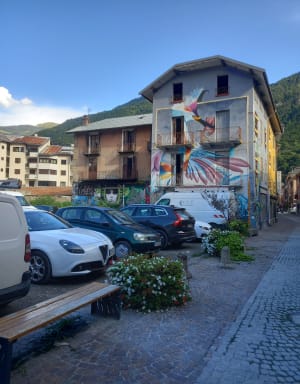Incontournable, le parcours Street-Art de Moûtiers ! - Moutiers - 36