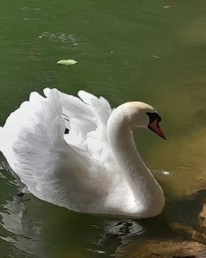 De llivia au lac de Puigcerda et retour - Llívia - 8