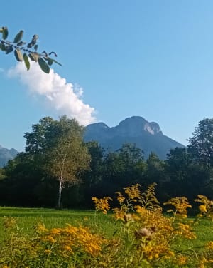 Sentier du Bout du lac d'Annecy depuis la plage - SARAH - 26