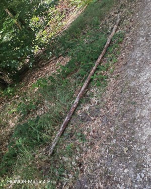 Trail Rocher Hercule - Christopher - 4