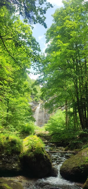 Cascades de la Sirène et du Hérisson - Bonlieu - 7