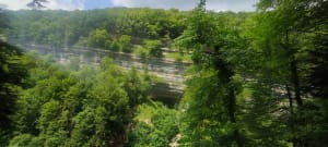 Cascades de la Sirène et du Hérisson - Bonlieu - 9