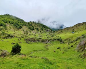 Boucle de l'étang de Lers : sentier découverte faune flore - Sentenac - 30