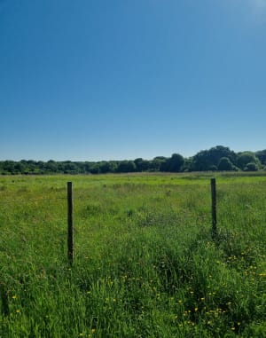 Tour des bois Saint-Martin et bois de Célie - Noisy-le-Grand - 2