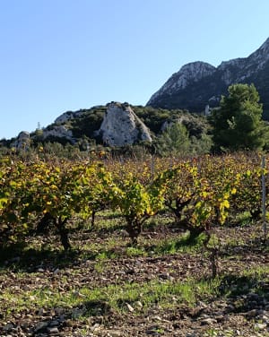 Balade en vtt aux pieds des Alpilles - Mollégès - 9