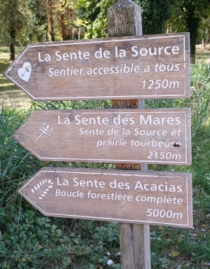 Excursie naar het hart van het bos van Scevolles - Guesnes - 5