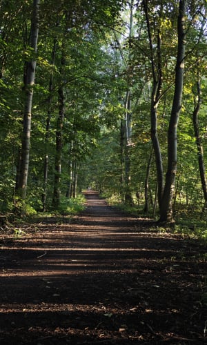 Szósteczka od Kordika - Gliwice - 6