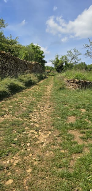 Belles vues et Cabornes en pierres - Saint-Didier-au-Mont-d'Or - 13