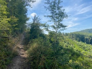 Sentier de la vallée de la croisade - Salles - 30