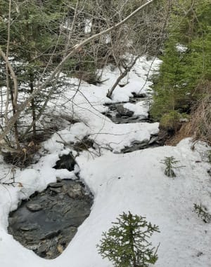 Plus haut que Val Cenis - Val-Cenis - 7